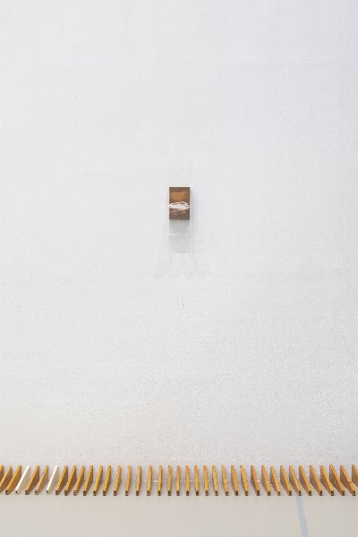 Examen, documentaHalle